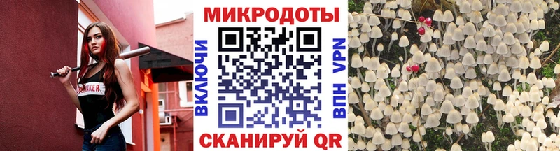 нарко площадка состав  Тейково  Псилоцибиновые грибы мицелий 